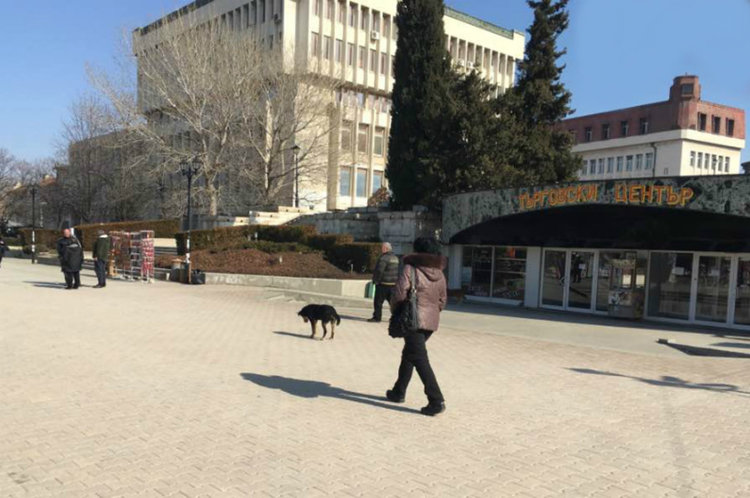 Асеновград сменя кучешкия приют в Пловдив с този в Димитровград или Стара Загора