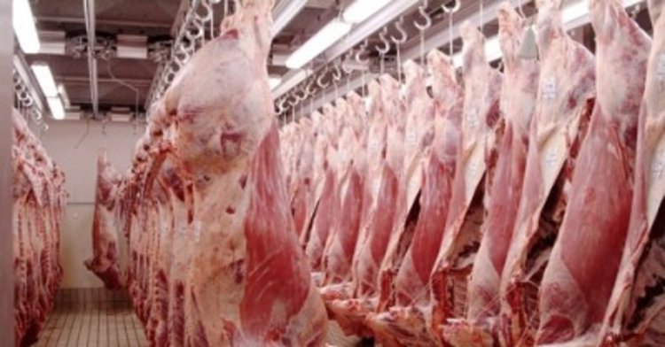 НАП спря продажбата на 21 т месо, негодно за потребление от хора