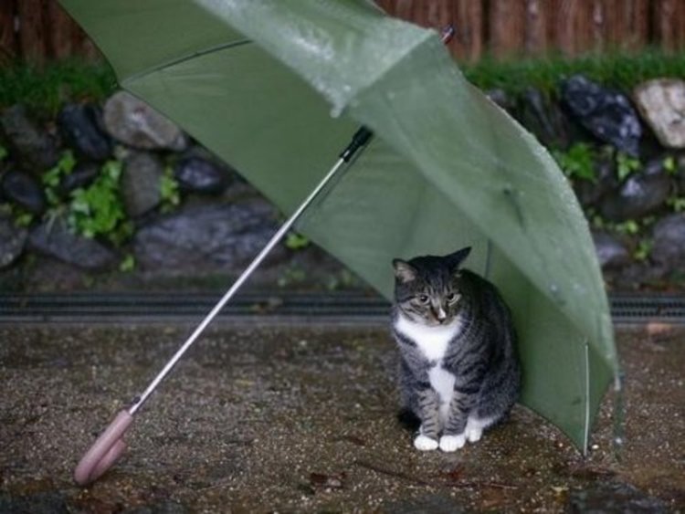 Жълт код за опасни валежи в Хасковско, засега без сняг 
