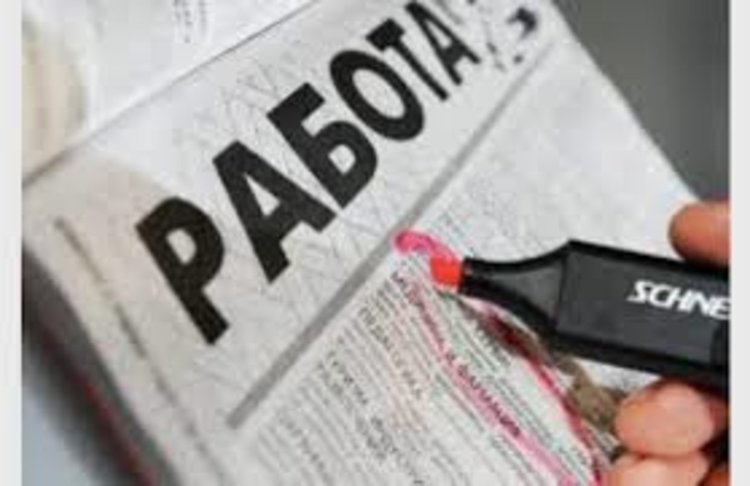Едва 5 от близо 200 свободни работни места са за висшисти