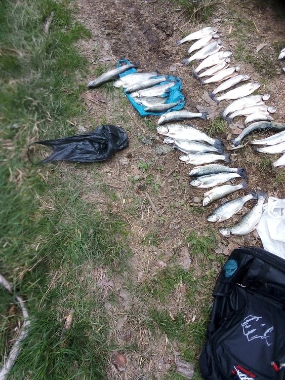 Три акта за незаконен риболов съставиха инспектори на яз."Доспат"
