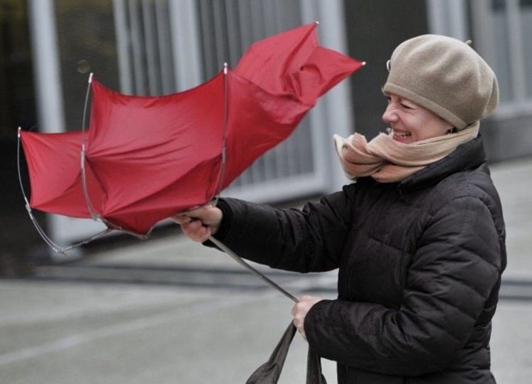 Жълт код за силен вятър в Хасковско