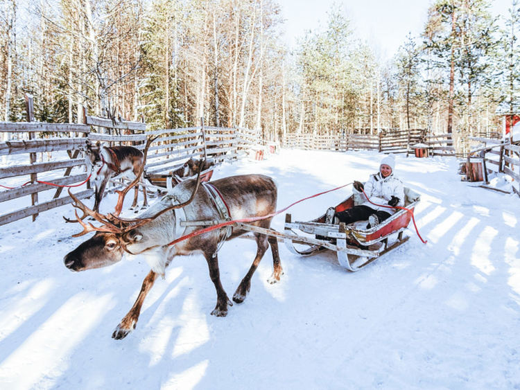 Коледа се отменя