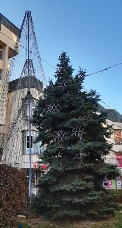 Само две ще са събитията на открито от Коледно-новогодишната програма на община Асеновград 