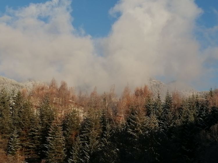 Предимно слънчево с умерен вятър от запад