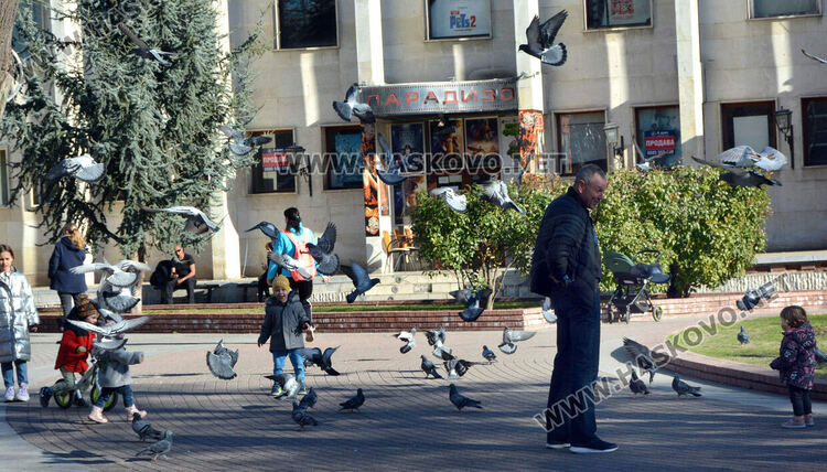 Нов температурен рекорд в топлия януари в Хасково