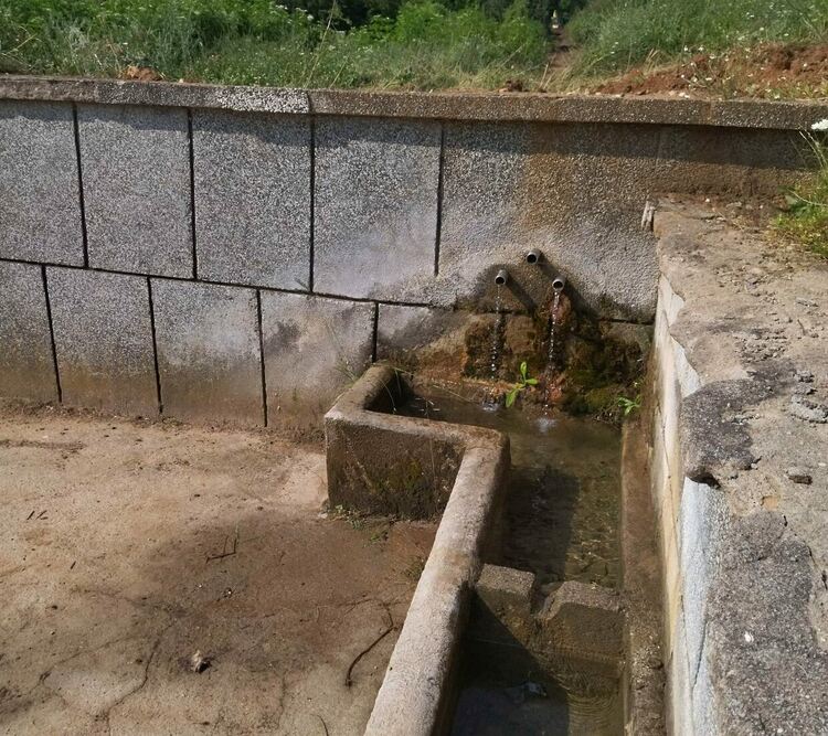 Водата потече отново от пресъхнали чешми край с. Орешник