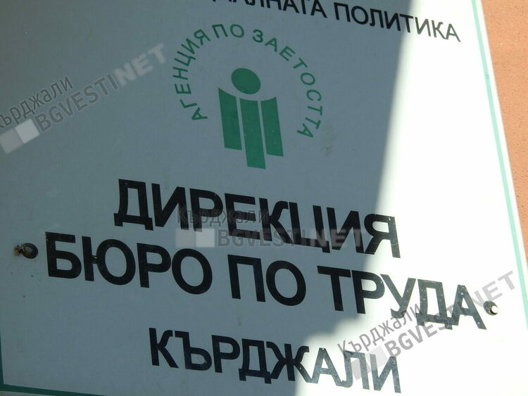   146 свободни позиции на трудовата борса в Кърджали, местата за висшисти са 22