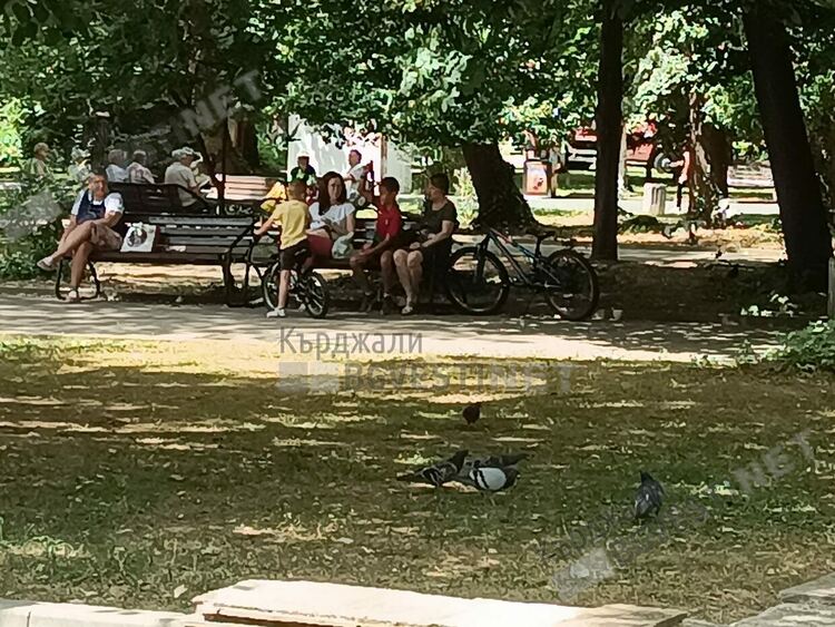 Слънчево и топло ще бъде днес в Кърджали