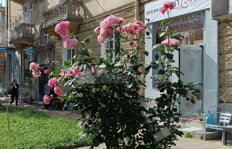 Предимно слънчево днес в Кърджали,без валежи