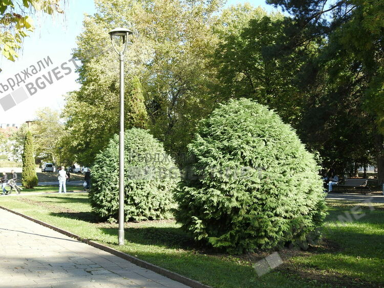 Слънчево и топло днес в Кърджали