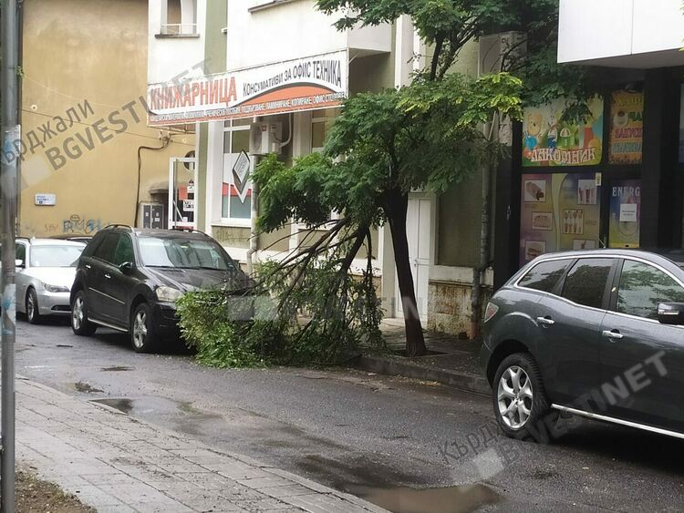 Отново оранжев код за силен вятър в Кърджалийско,ще превали
