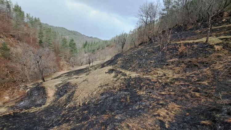 13 пожара за 3 дни, унищожени над 30 декара сухи треви