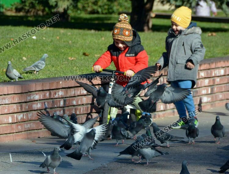 Слънчево време в първия ден на астрономическата пролет