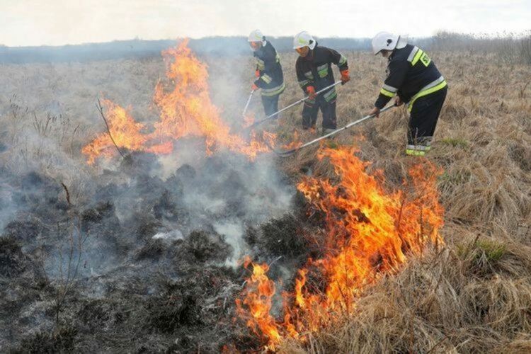 Над 600 декара горяха над село Любча, пожари вилняха в Чепеларе и Мадан