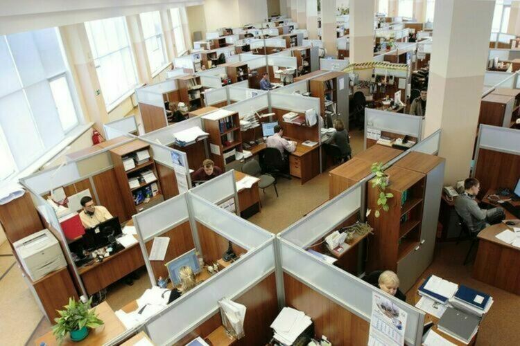 Актуални свободни работни места в Димитровград