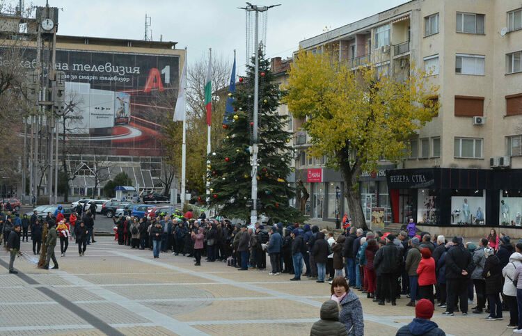 „Гората.бг“ подарява 20 000 фиданки в Хасково в събота