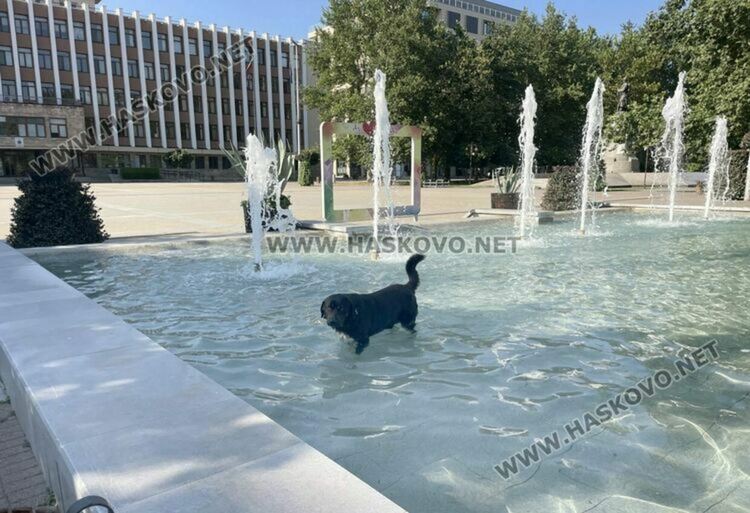 Разкъсана облачност с температури до 29 градуса в събота 