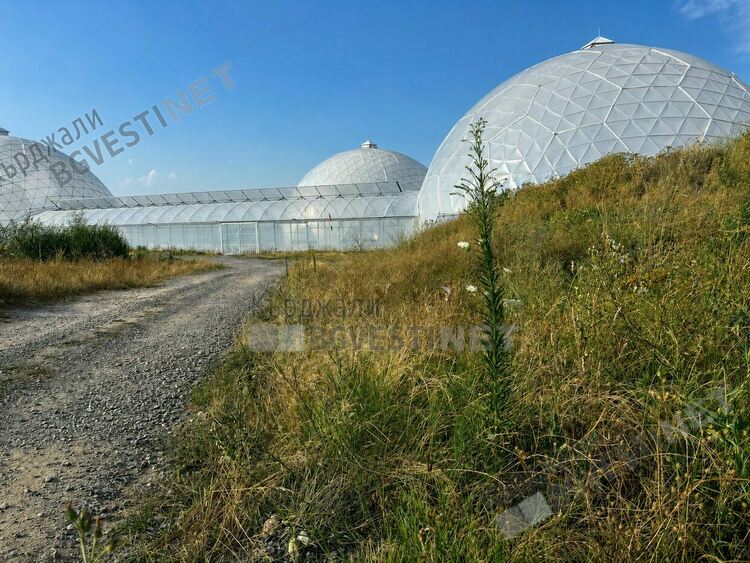 Топлината от земята ражда зеленчуци край Минерални бани