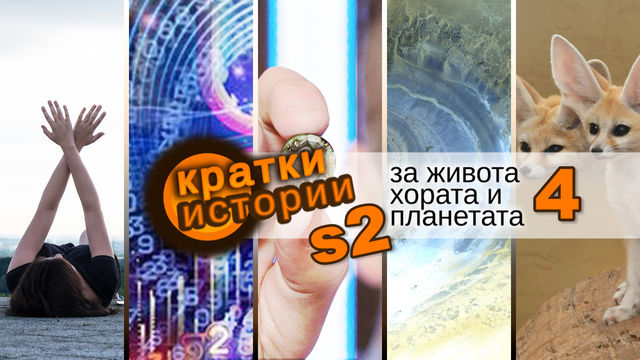 Кратки истории за живота, хората и планетата – S2 еп. 4